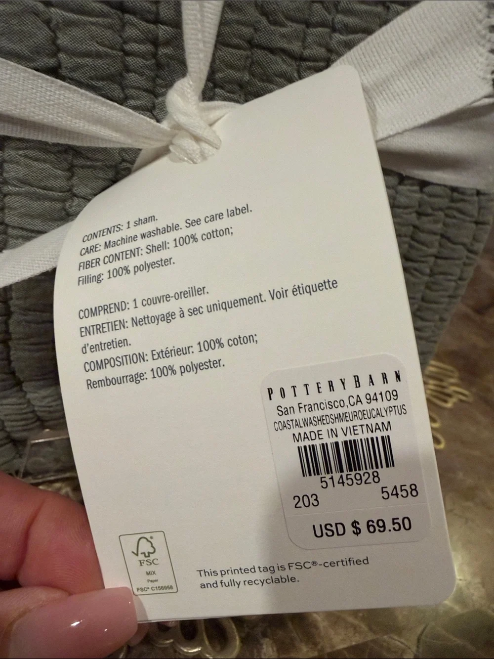 Pottery Barn Coastal Washed Euro Sham - Eucalyptus